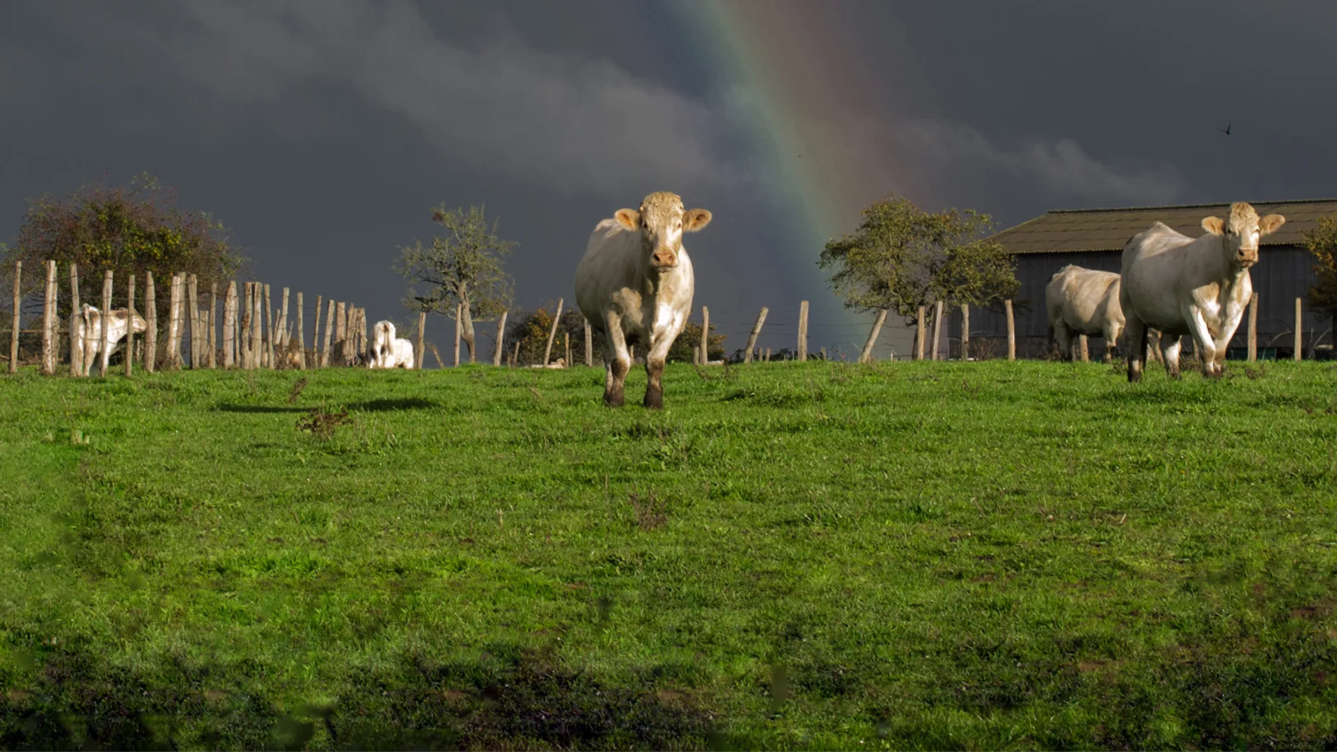 Nature - Vallée de Ronsard